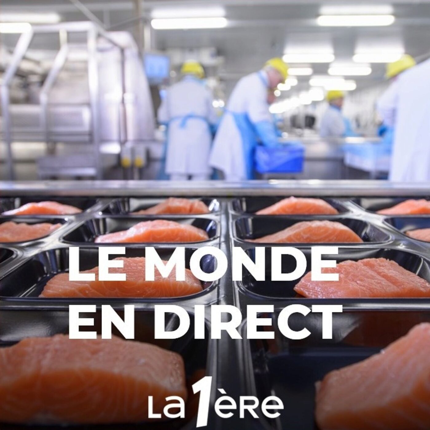 Le journaliste Maxime Carsel pour le livre "Un poison nommé saumon - Enquête sur une industrie dévastatrice "