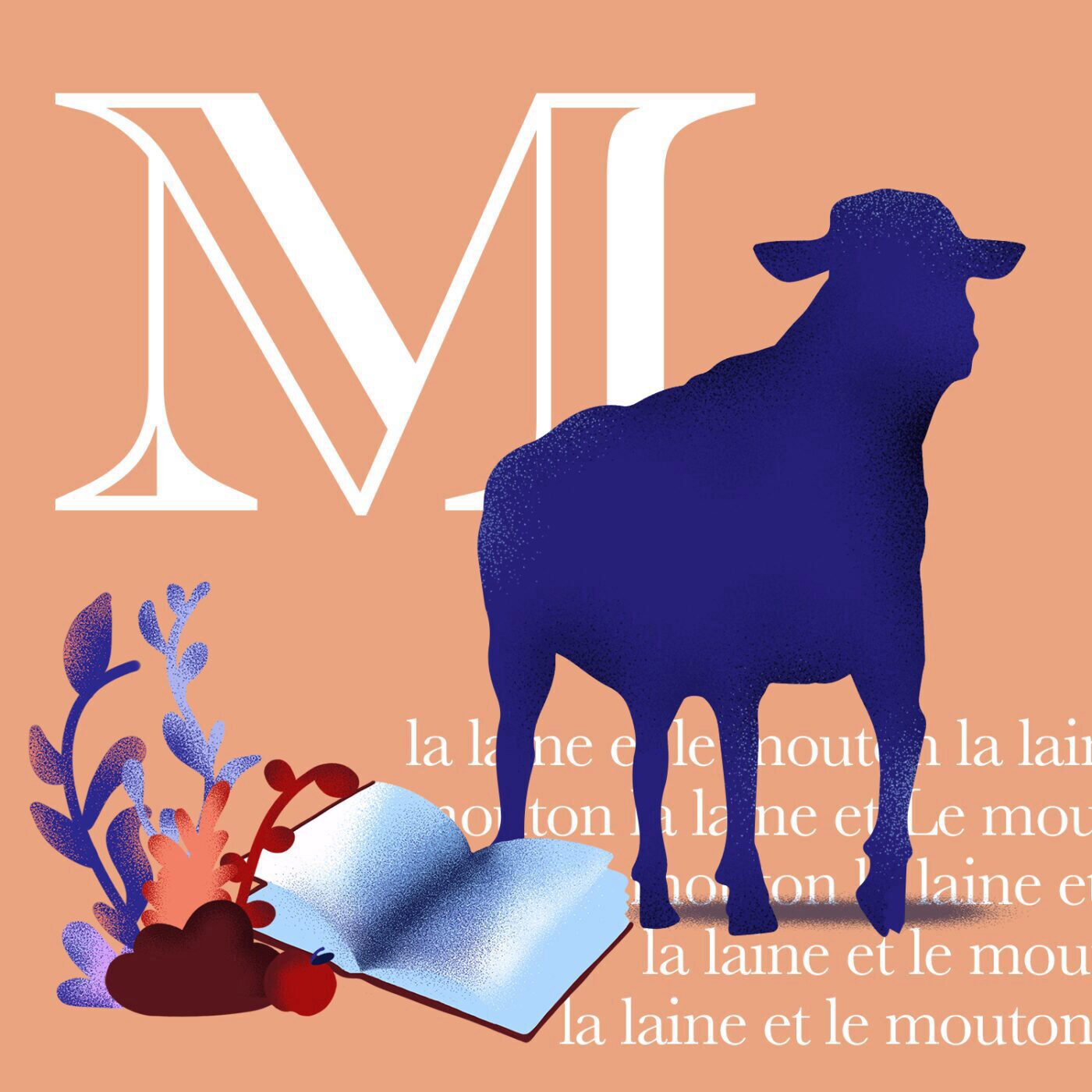 La laine et le mouton