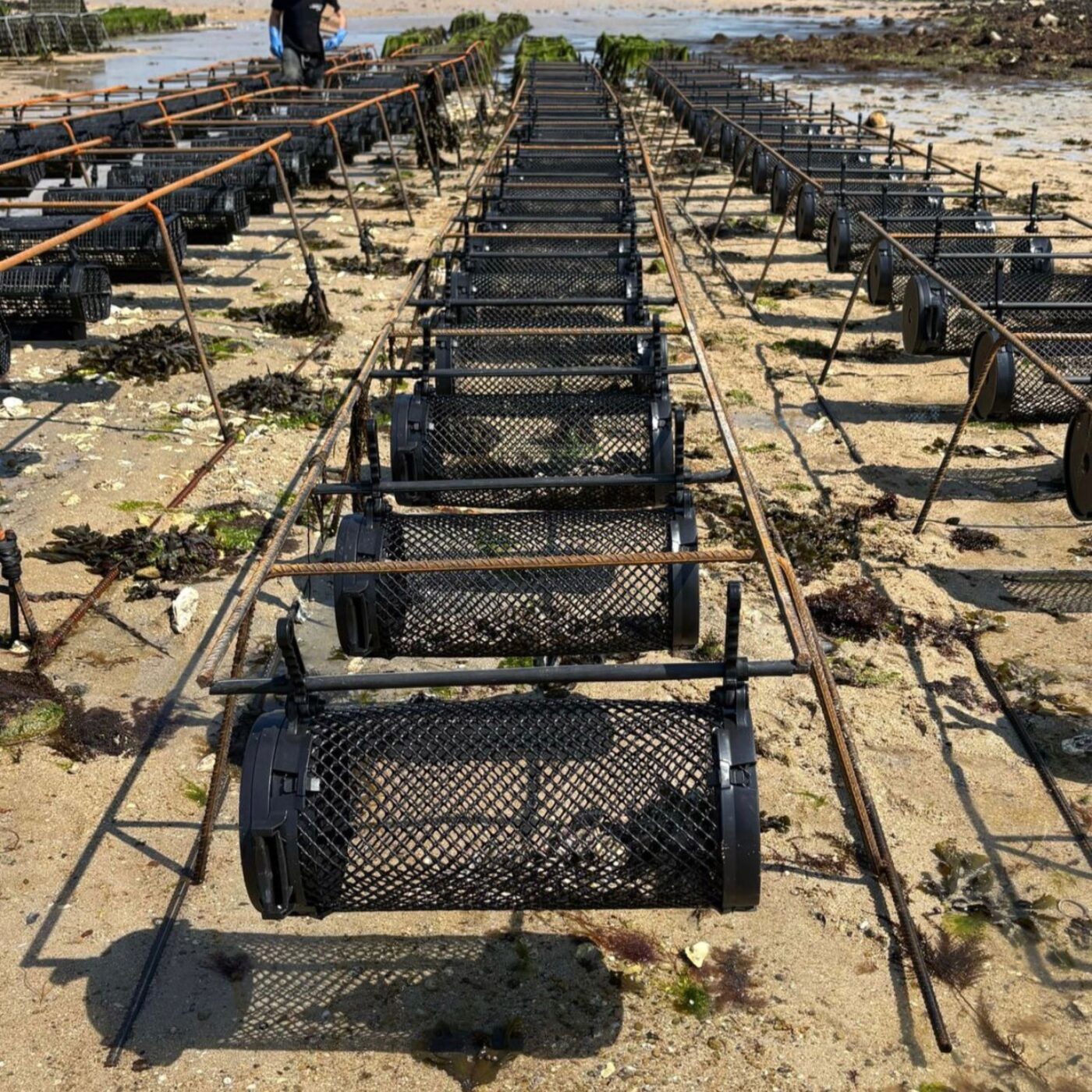 Innover : quelle aventure !