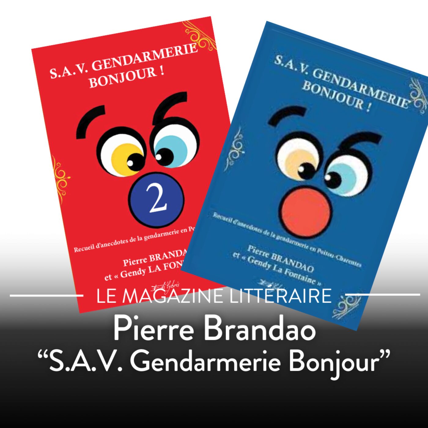 Magazine littéraire