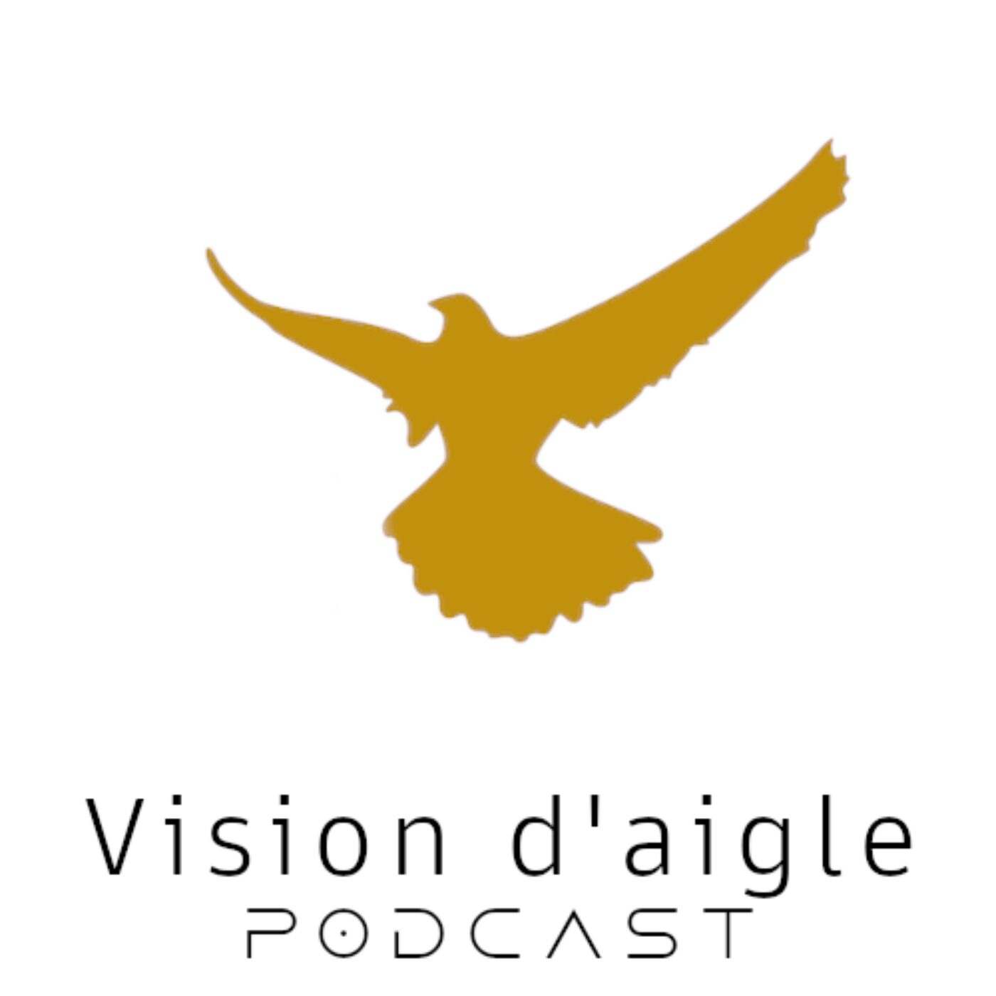 Vision d\'aigle