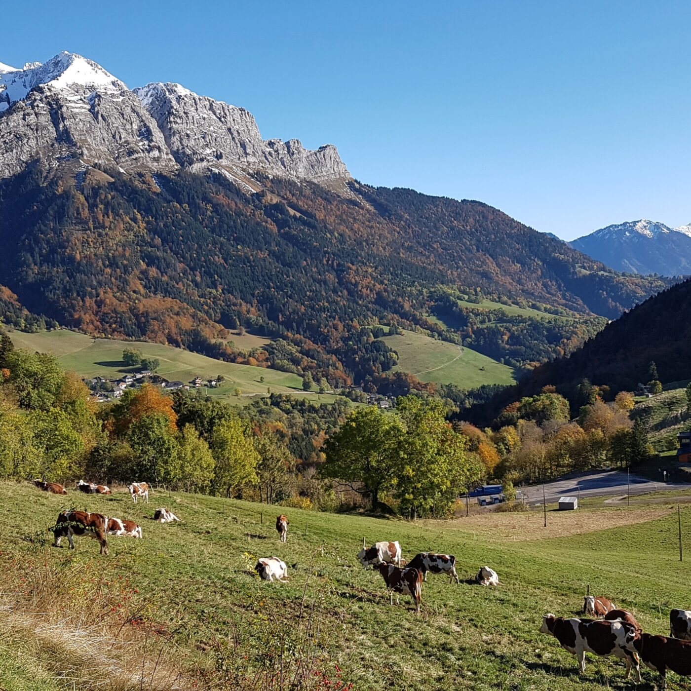 A Courchevel, tous invités à une emmontagnée, avec Simon Bibollet episode artwork