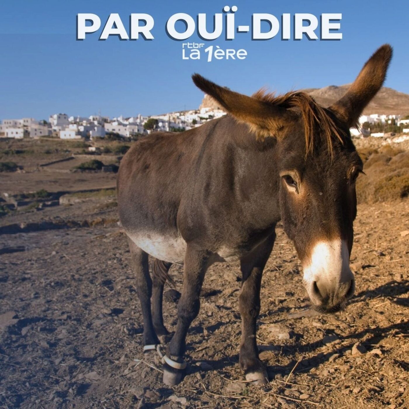 Ella!, l'âne d'Amorgos de Jean-Guy Coulange