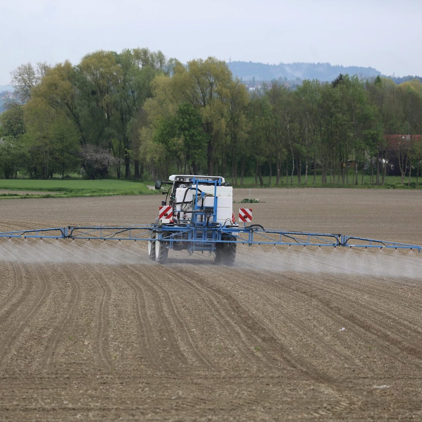 Chronique Actu · RCF Alsace