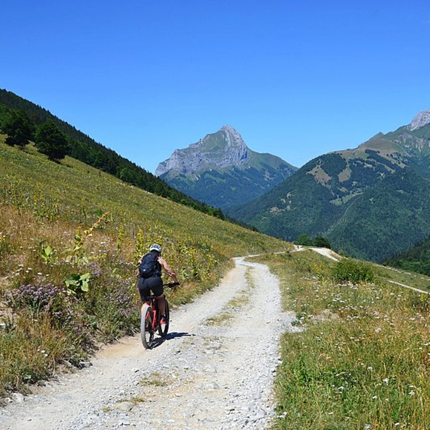 Canicule : 1 lit sur 2 est occupé en montagne cet été ! episode artwork