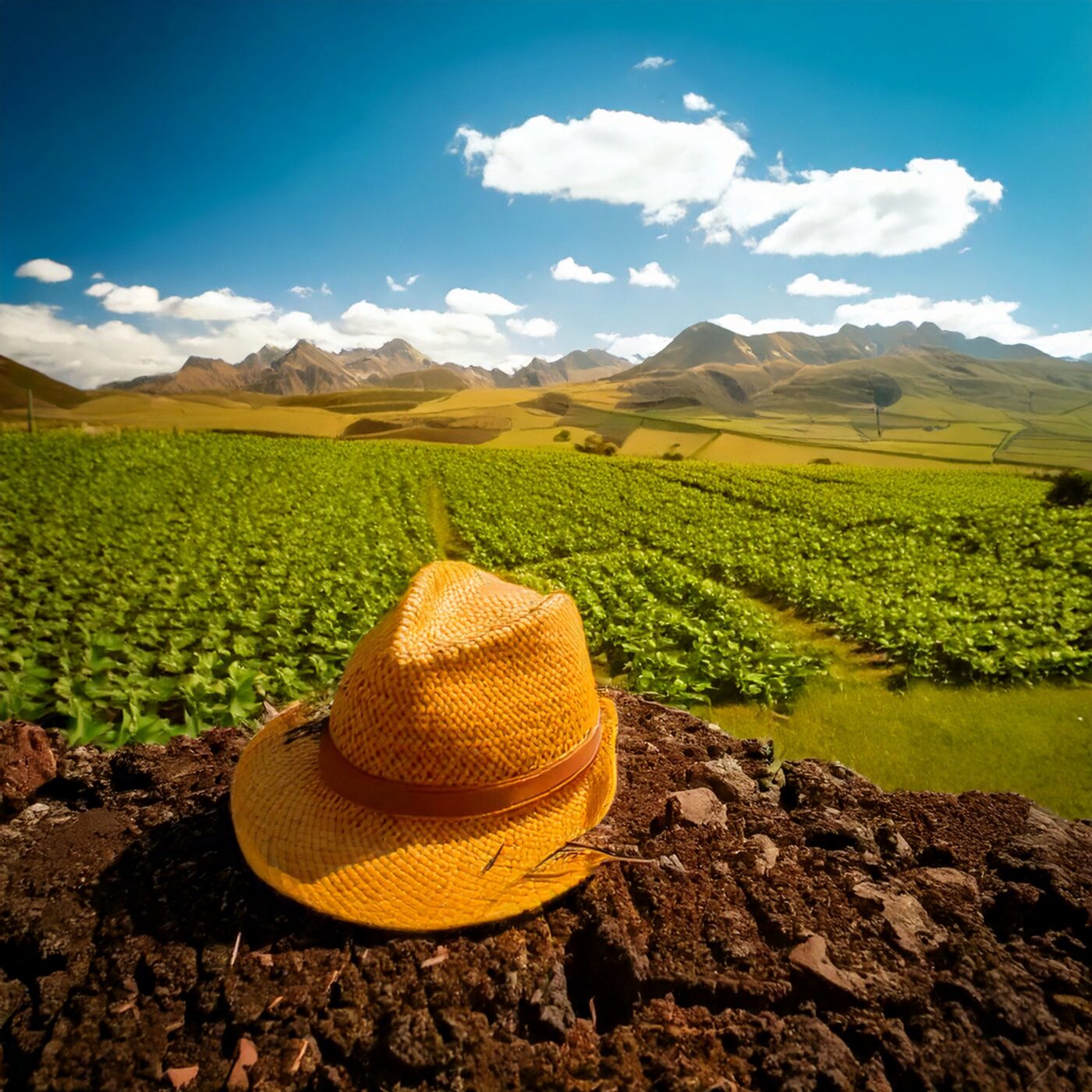 L'Agriculture comme un outil du lien social