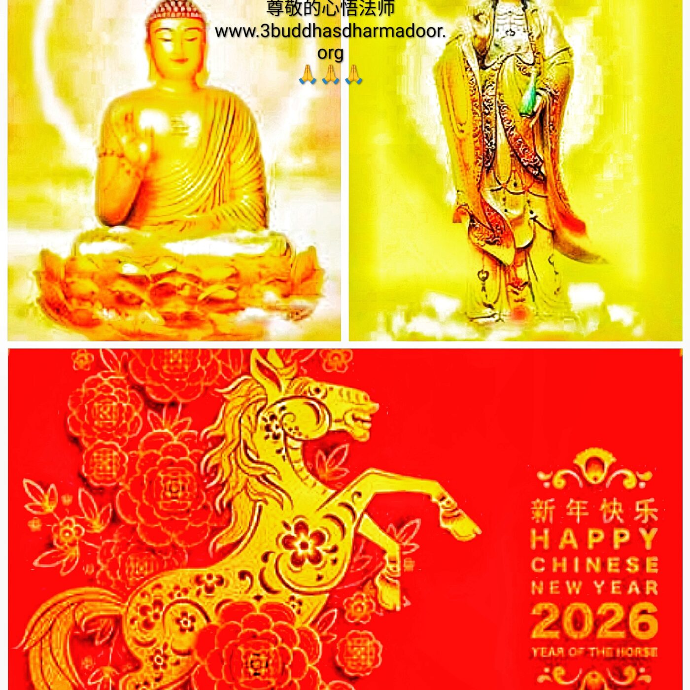 Polychrome, pour tisser du lien