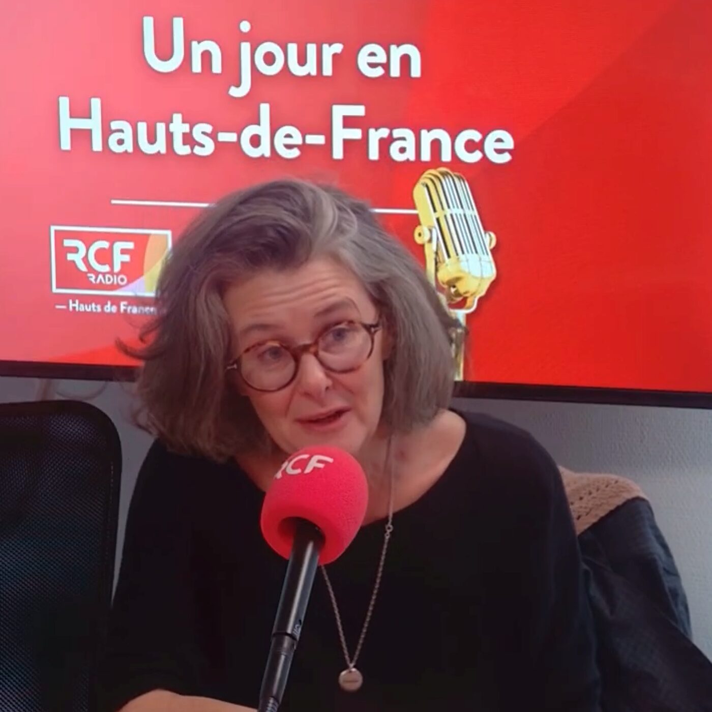 "ça ne tient plus !" Mobilisation à Lille des associations. Claire Bizet episode artwork