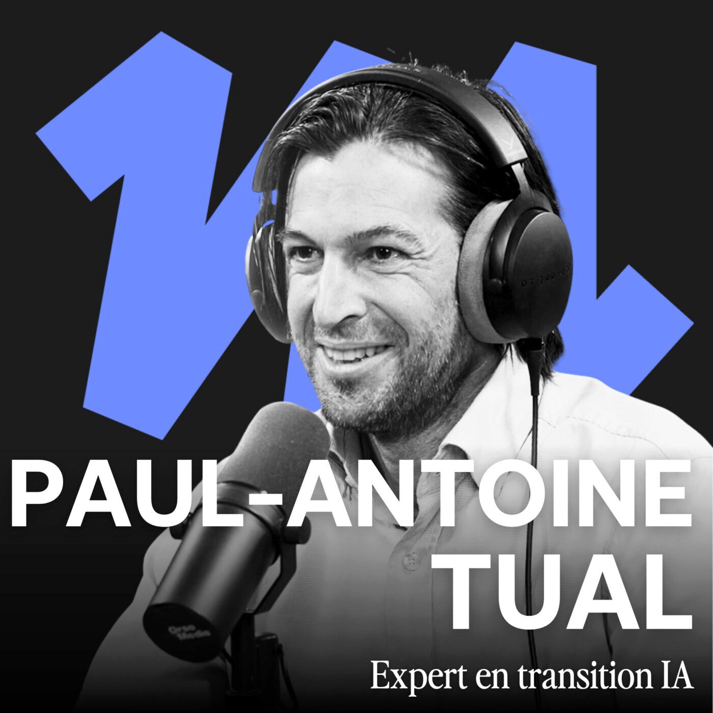 episode cover #328 - Ces entreprises ne survivront pas à l'IA : comment les repérer - Paul-Antoine Tual