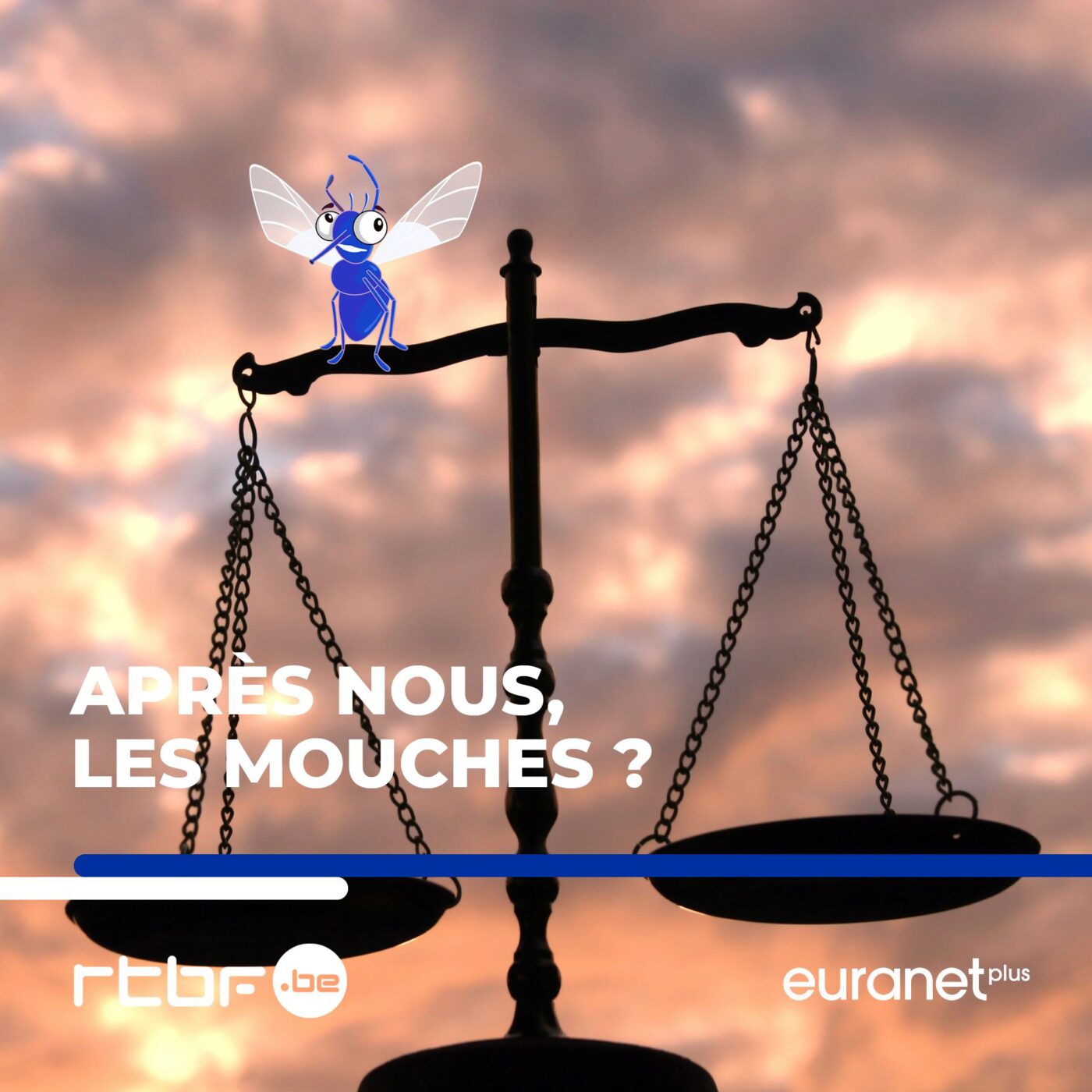 Quand le climat s'invite au tribunal (15/20)