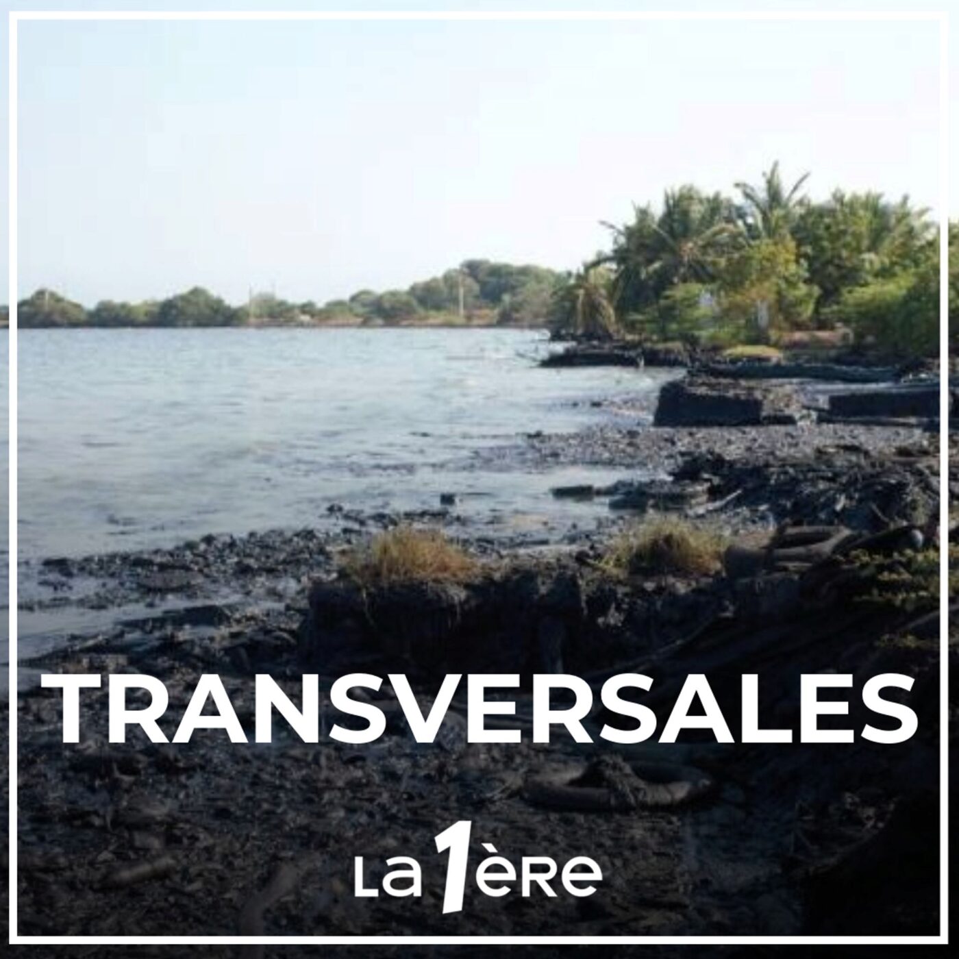 Au chevet du lac de Maracaibo au Venezuela (rediffusion)