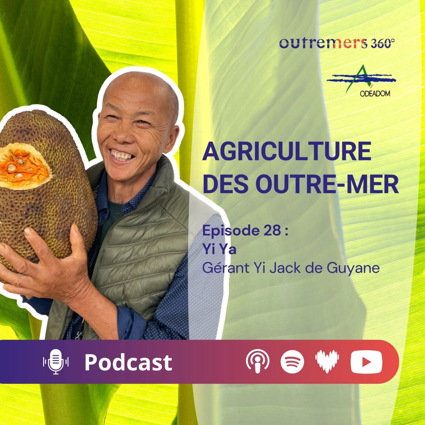 Agriculture des Outre-mer