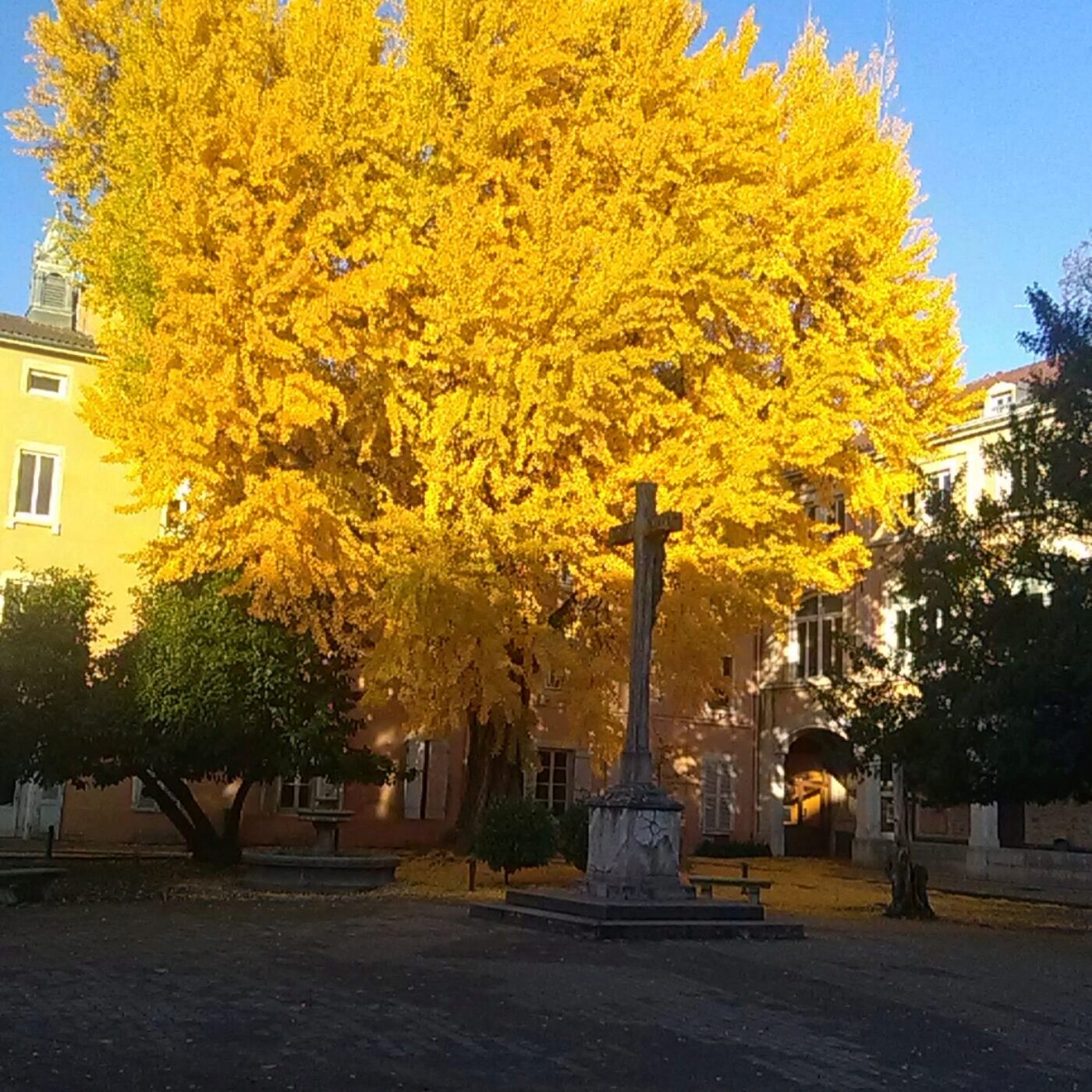 Un écrin de verdure à Bourg, le parc du collège Saint Joseph
