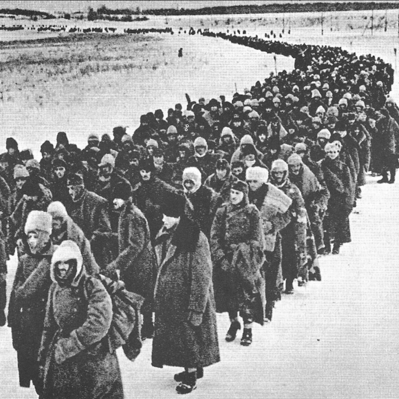 31 janvier 1943: Les allemands capitulent à Stalingrad episode artwork