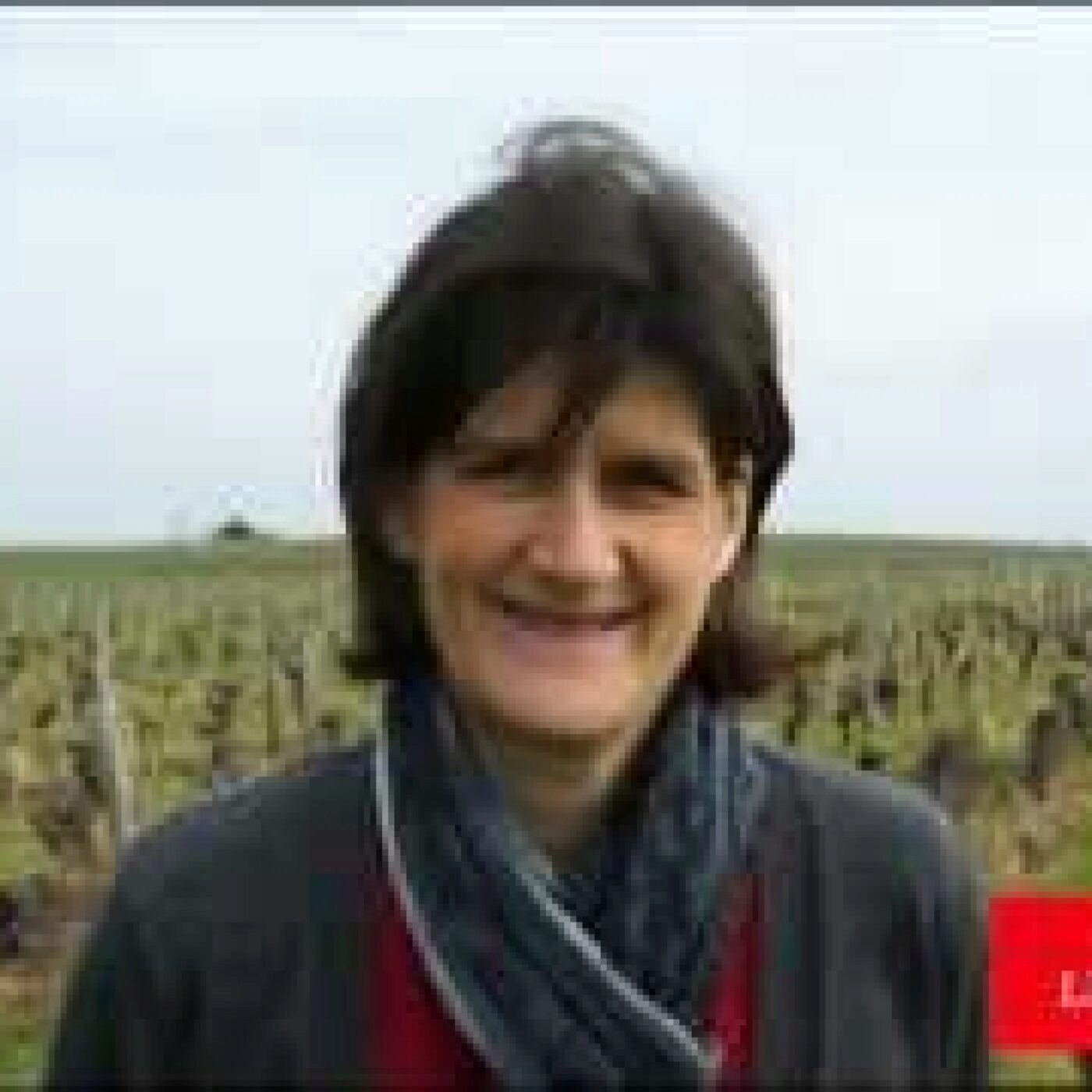Des hommes et du vin
