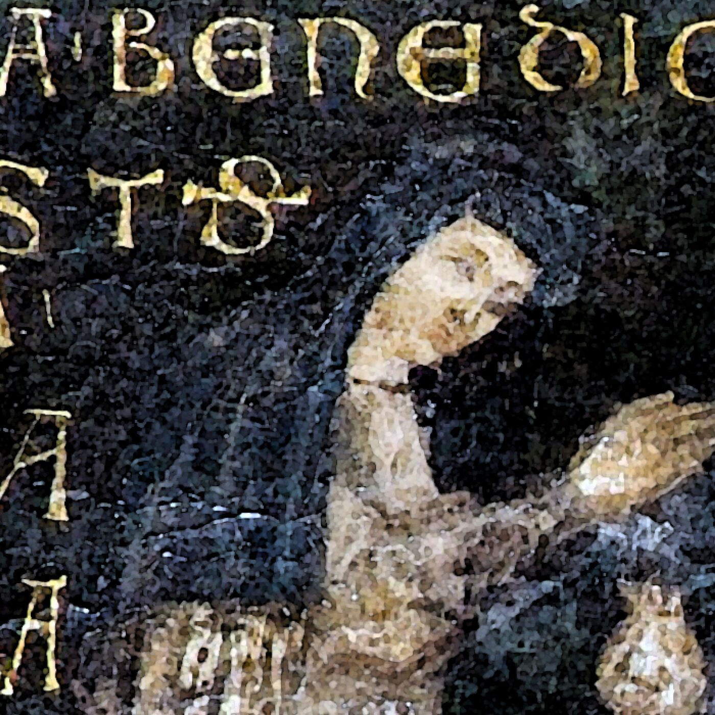 Bienheureuse Bénédicte d'Assise episode artwork