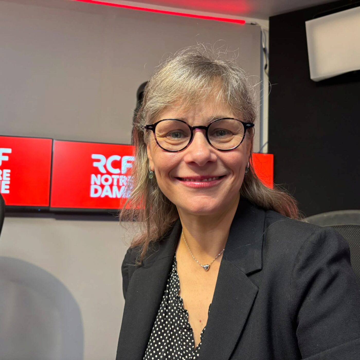 « L'audiovisuel public est sous-financé depuis 15 ans », dénonce la députée Sophie Taillé-Polian