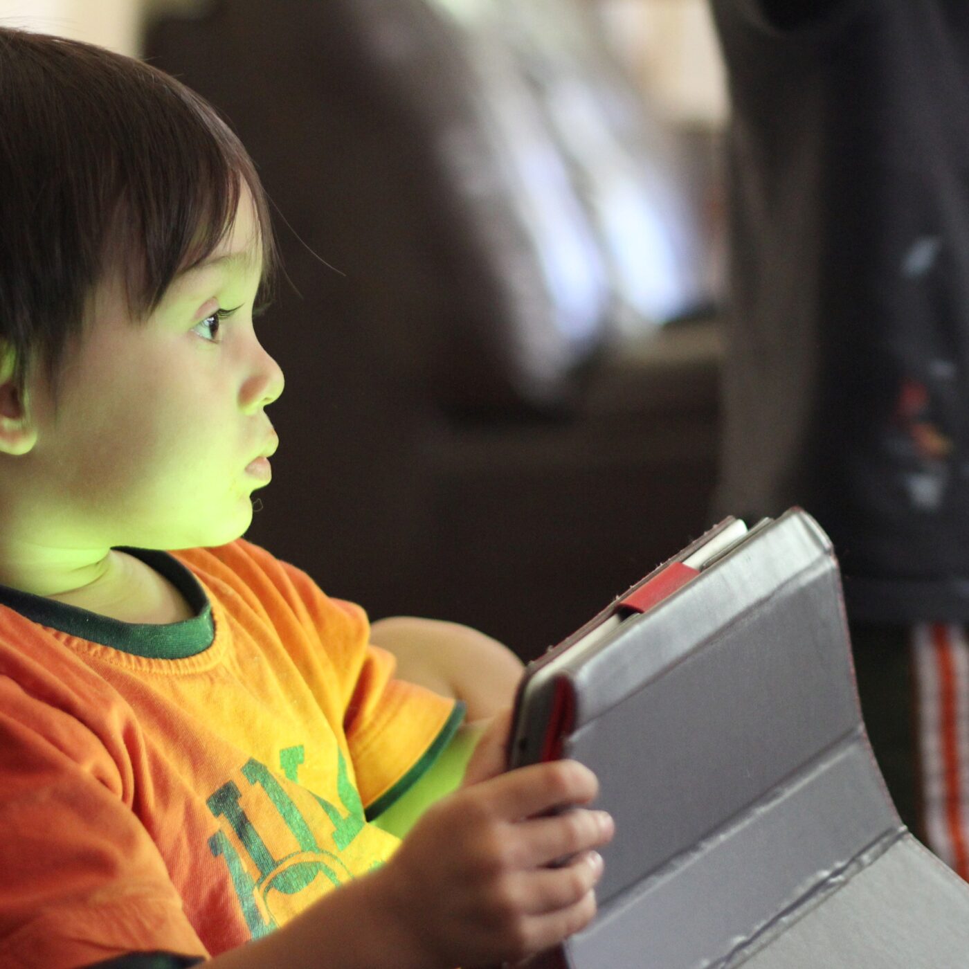 Savoie : Serge Tisseron alerte sur les compagnons digitaux pour les enfants episode artwork