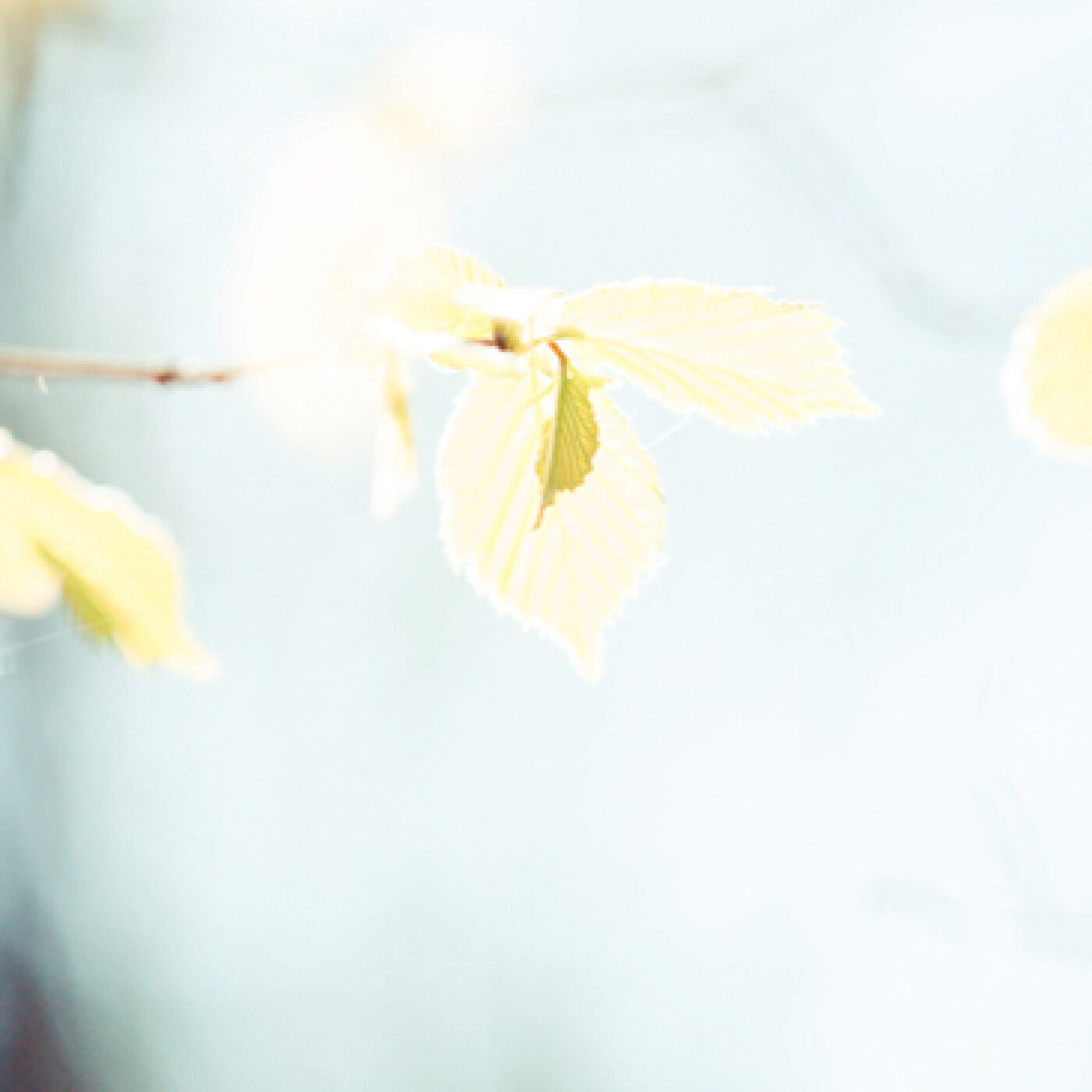 « Va, ton fils est vivant » (Jn 4, 43-54)