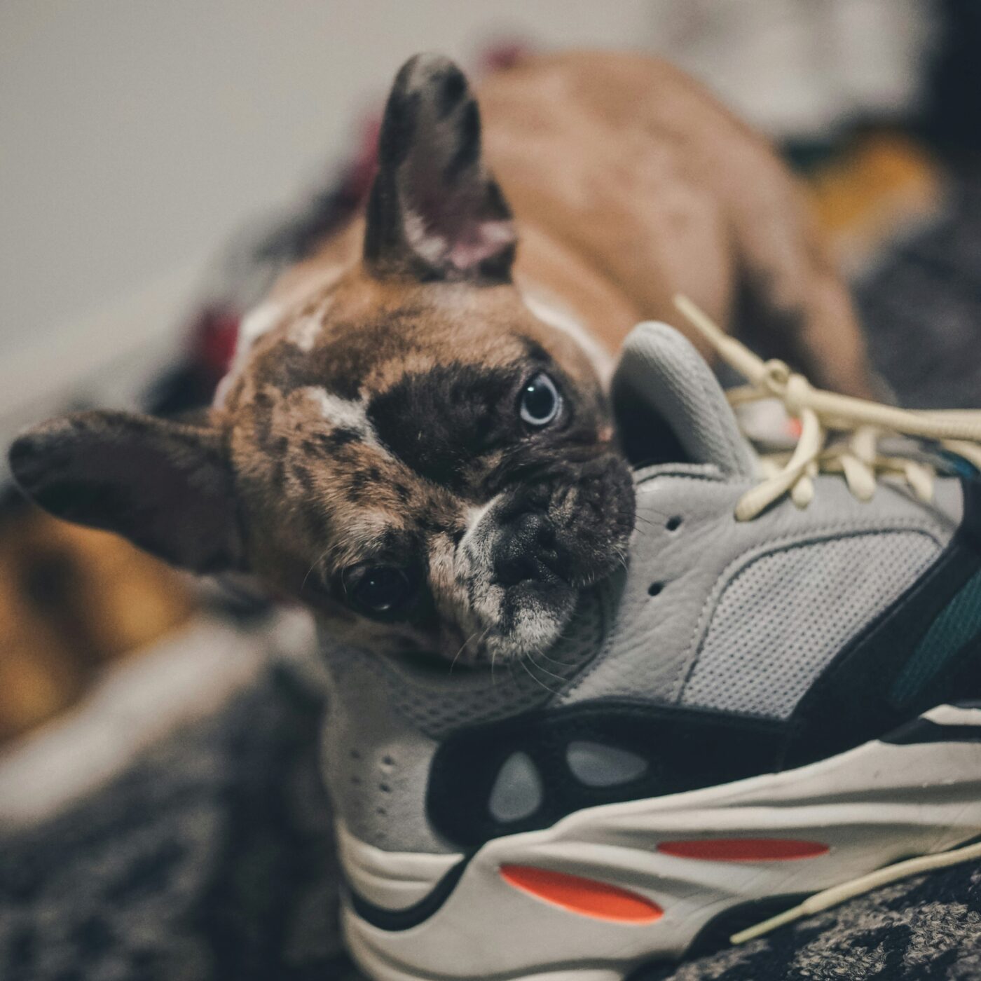 Les Agitateurs de neurones