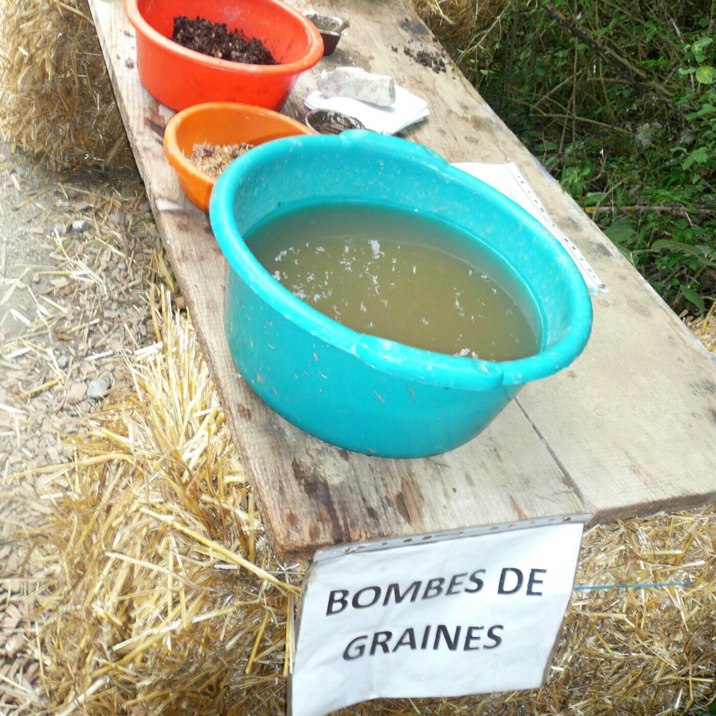 Tu me remercieras plus tard