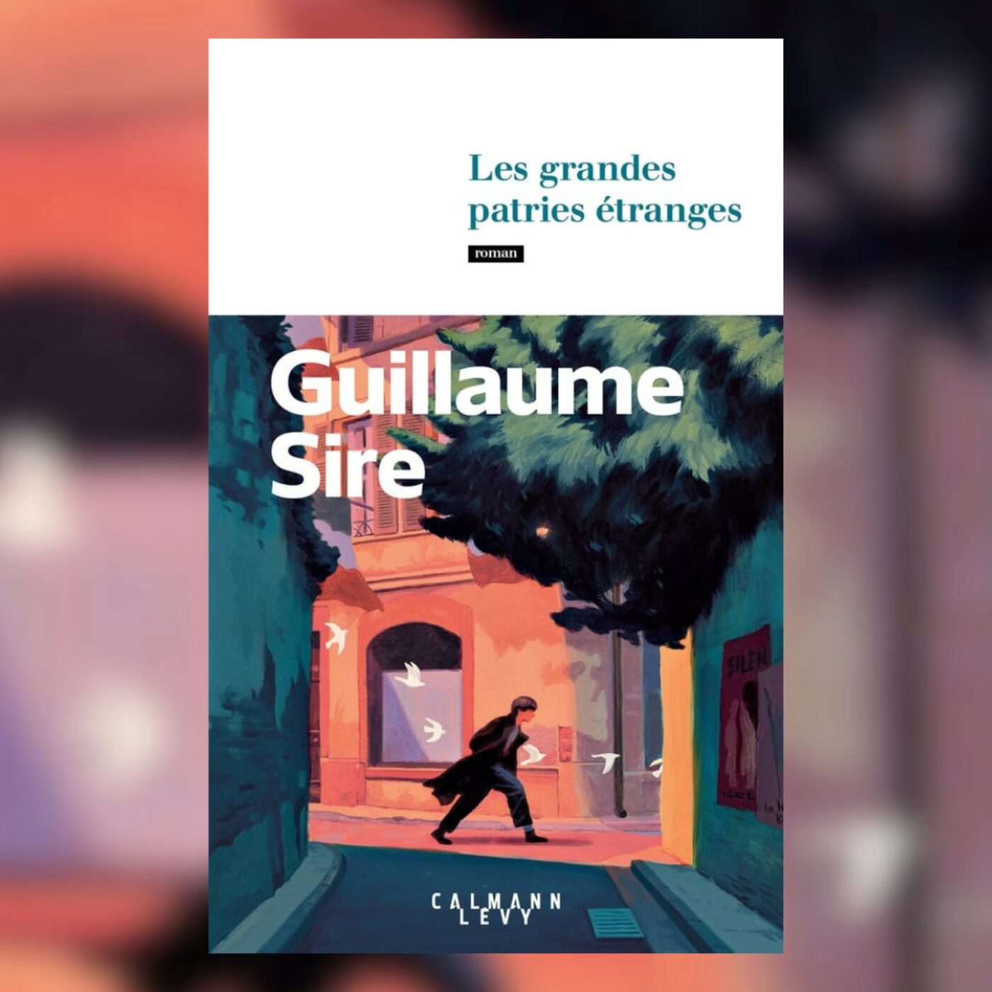 La baraque à livres