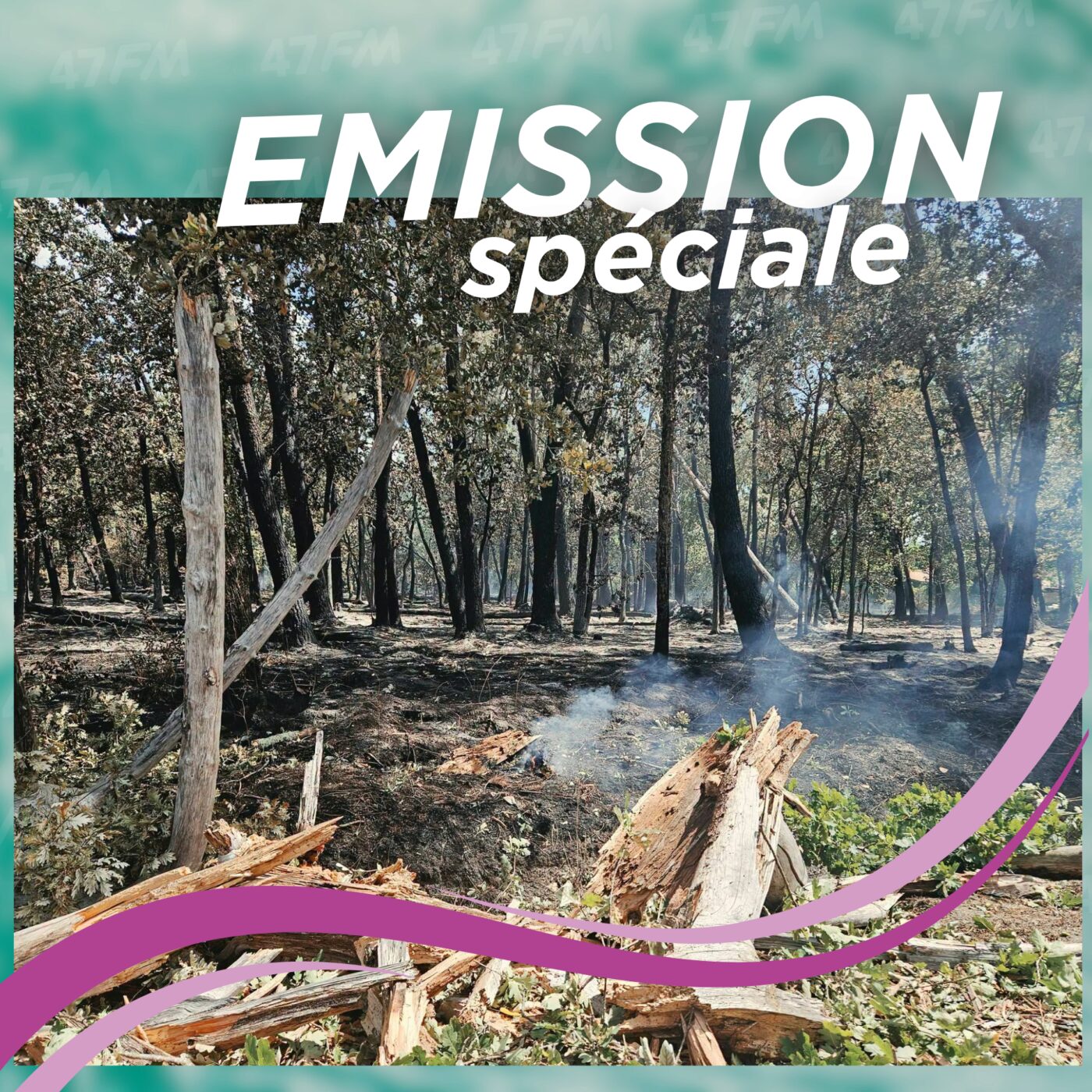 26-07 Incendies en Gironde et Landes