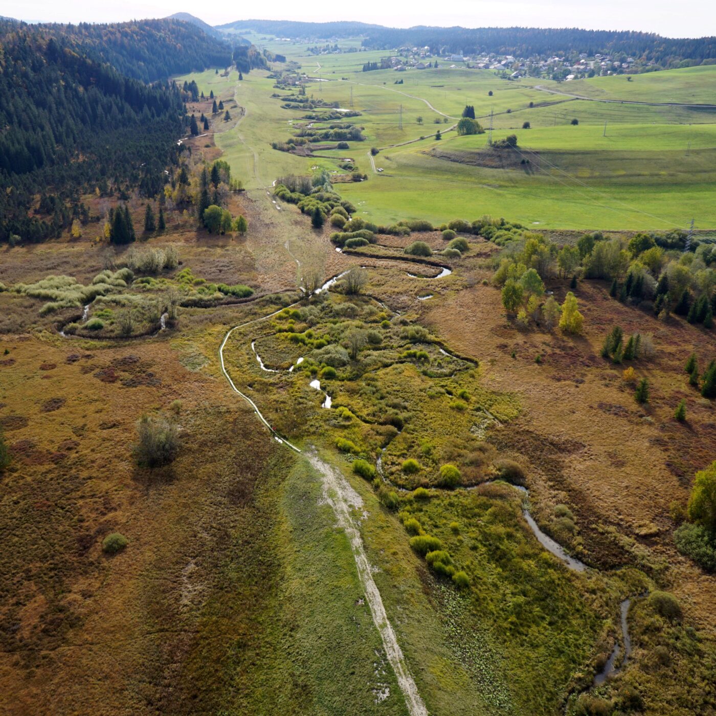 L\'invité de la rédaction (JURA)