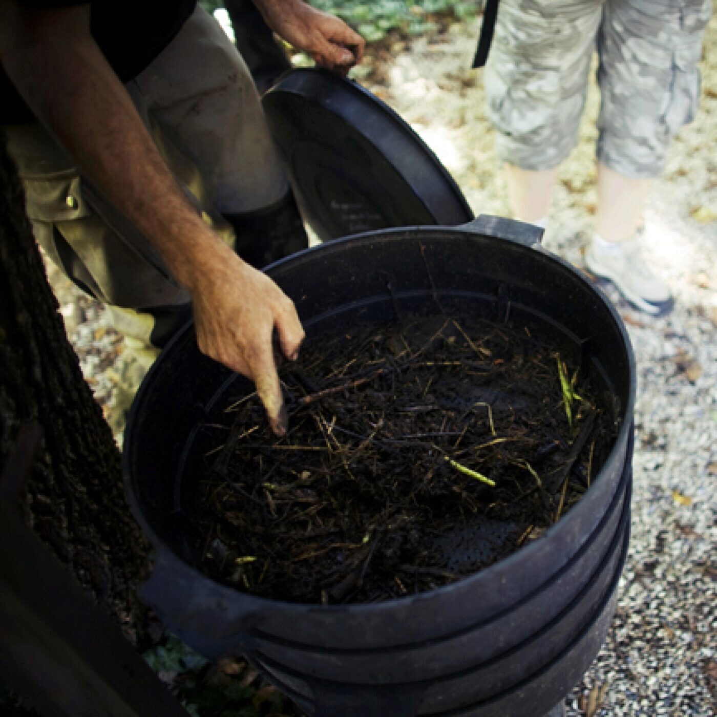Jardiner avec les enfants, avec Terre Vivante