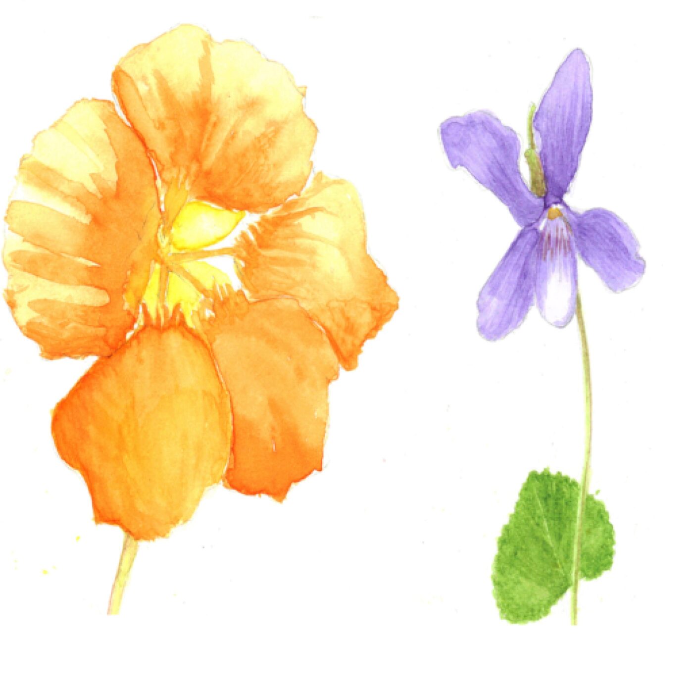 Innover : quelle aventure !