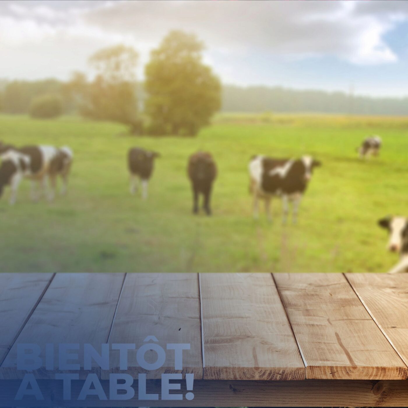 Farm to table, les adresses du Fooding