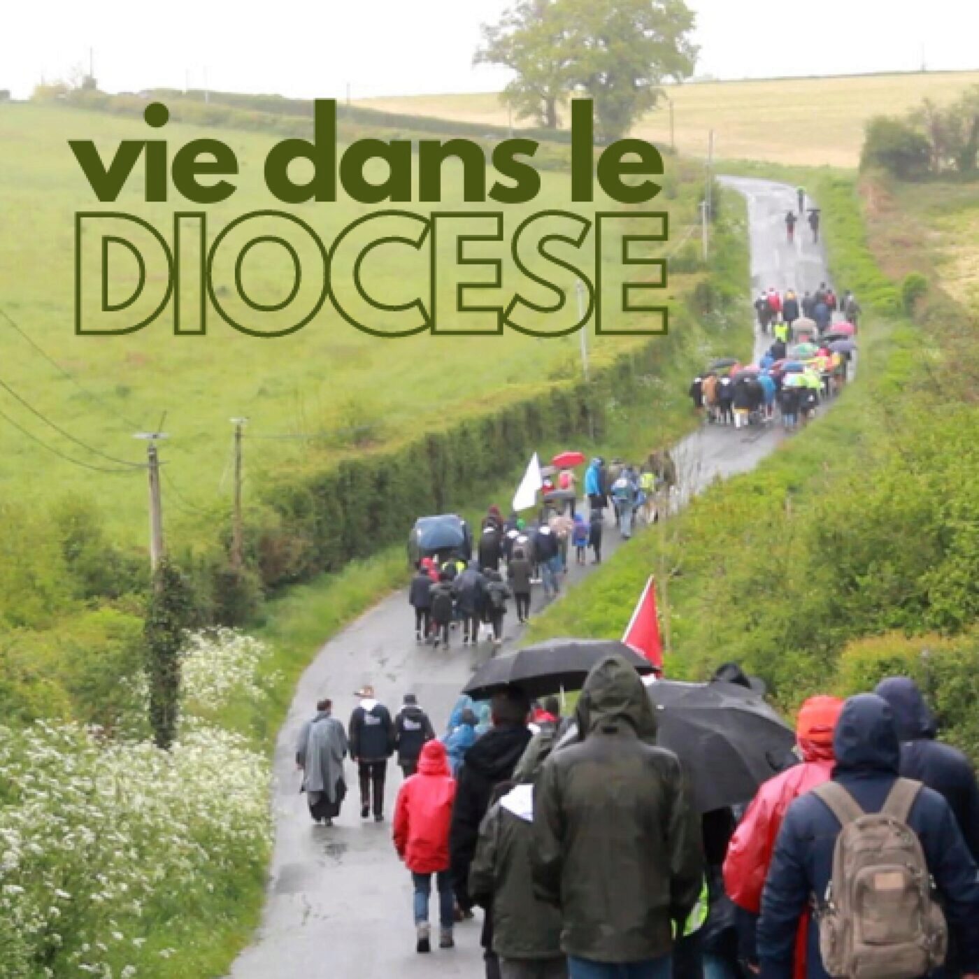 Vie dans le diocèse