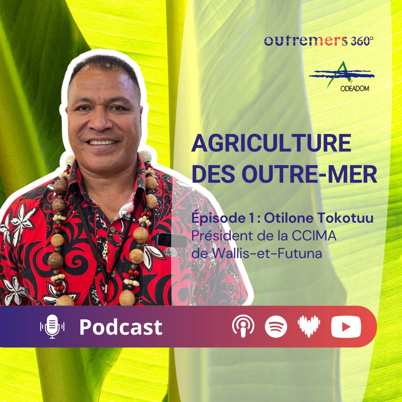 Agriculture des Outre-mer
