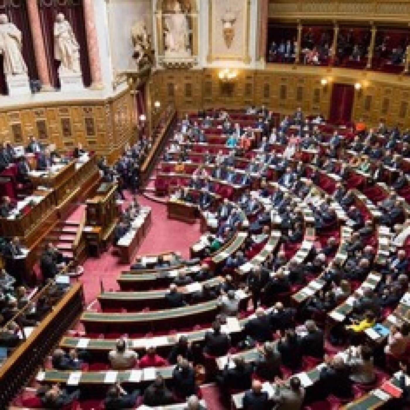 Bioéthique : le débat est en cours au Sénat episode artwork