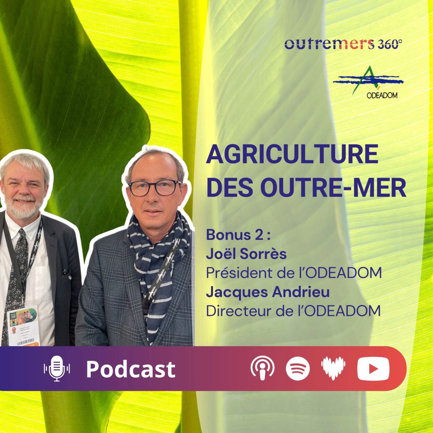 Agriculture des Outre-mer