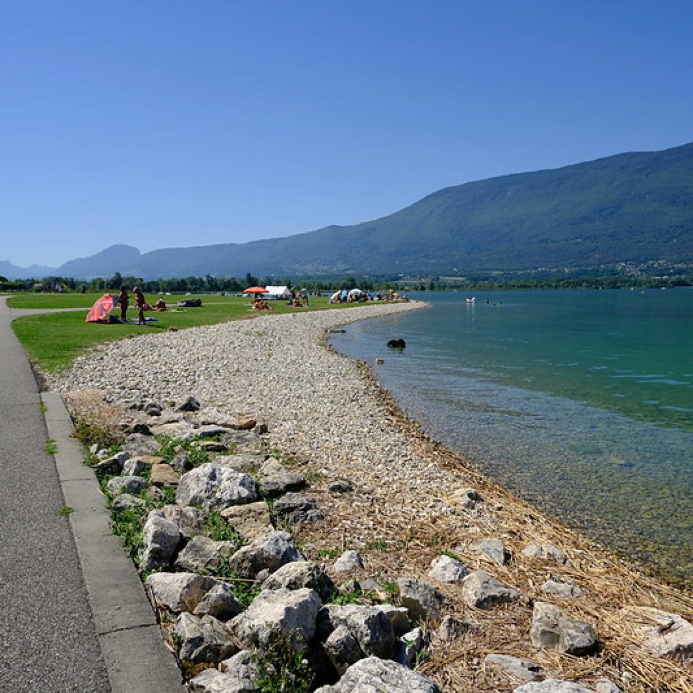 Lac du Bourget : "Il y a une diminution très nette des débits des cours d'eau" episode artwork
