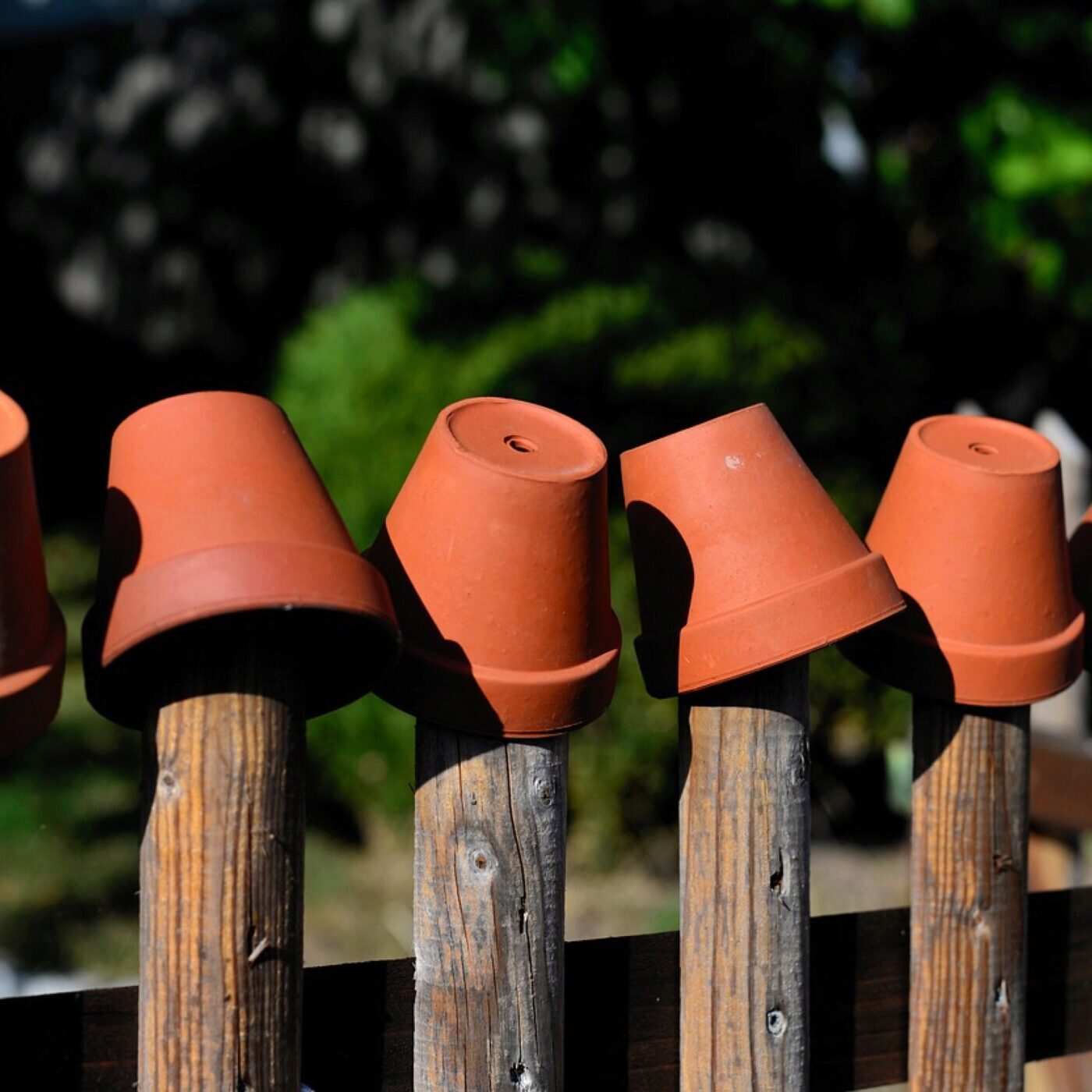 Jardiner avec les enfants, avec Terre Vivante