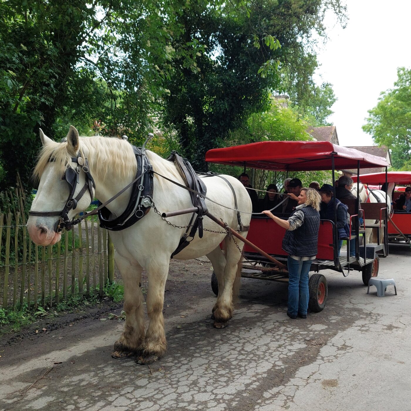 La Ferme du cheval de trait - Les ballades en carrioles [3/5]