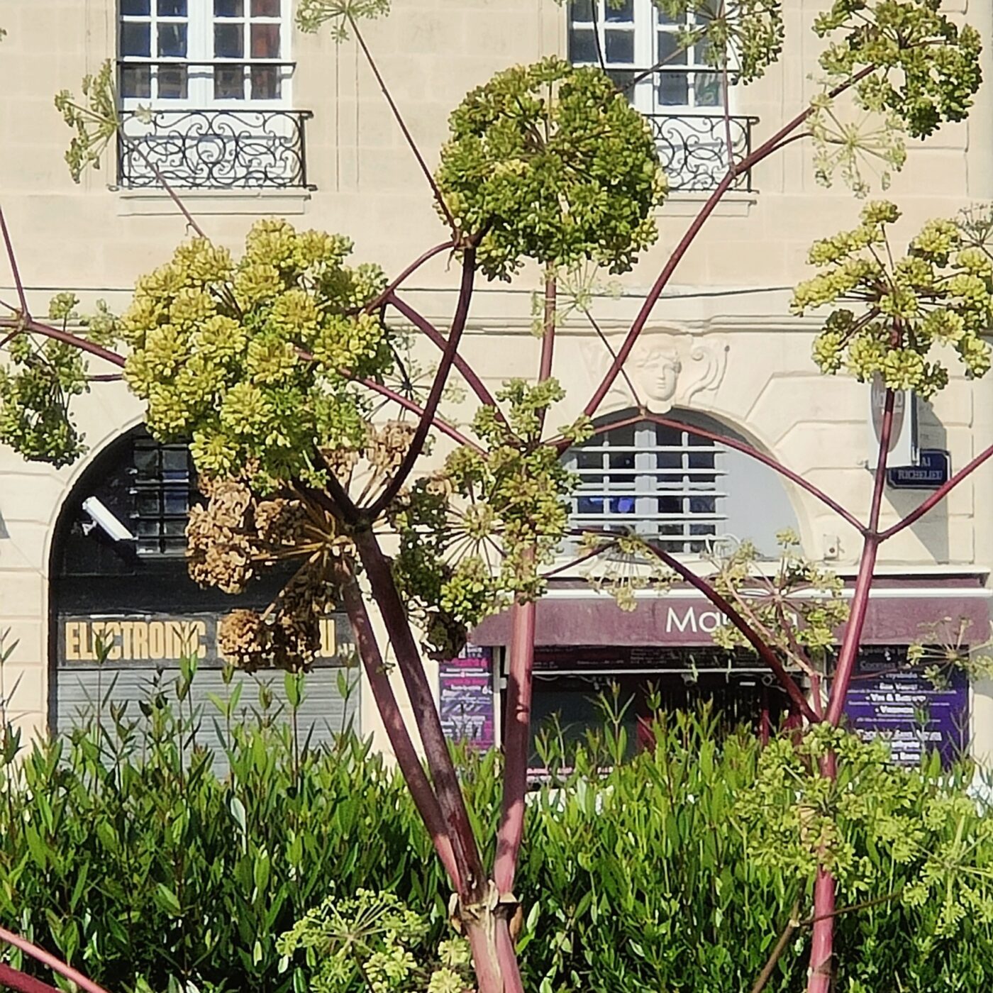 Commune planète (Gironde)