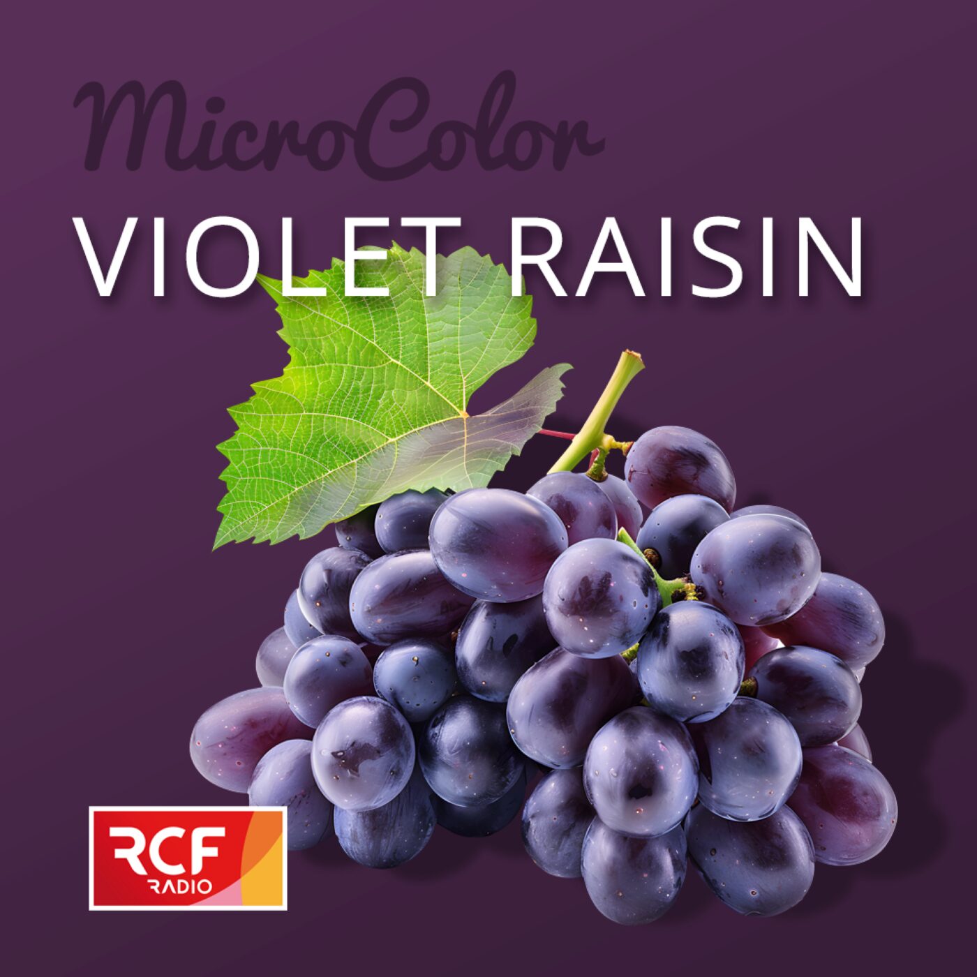 Violet raisin episode artwork