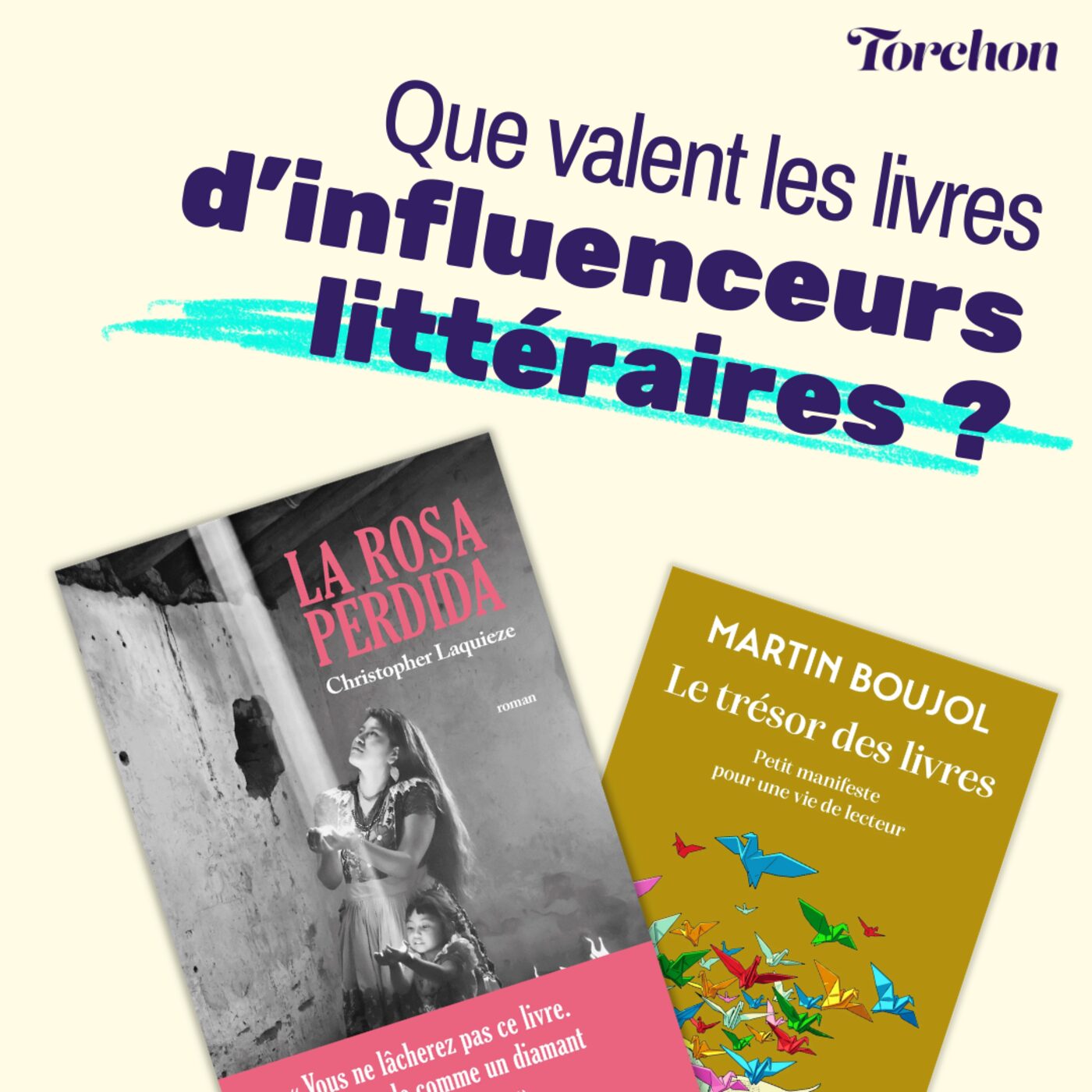 Que valent les livres d'influenceurs littéraires ? - avec L'Écrivaillon