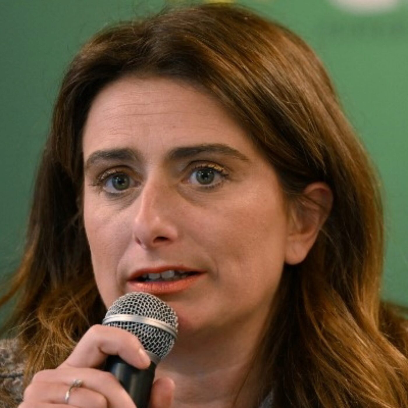 "Encore pire que la première " : sur RTL, Marine Tondelier fustige la nouvelle proposition de loi Duplomb pour réintroduire un pesticide interdit en France