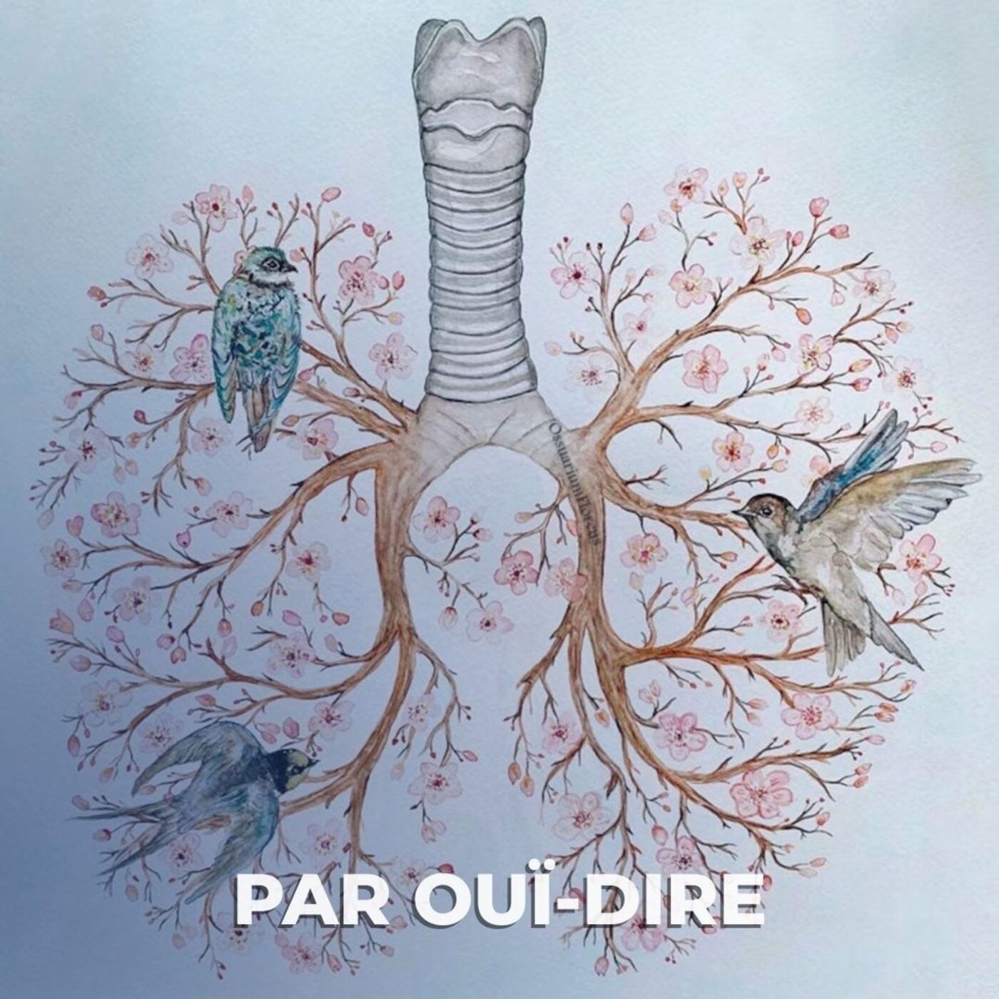 'Les essoufflés' de Carine Zimmerlin