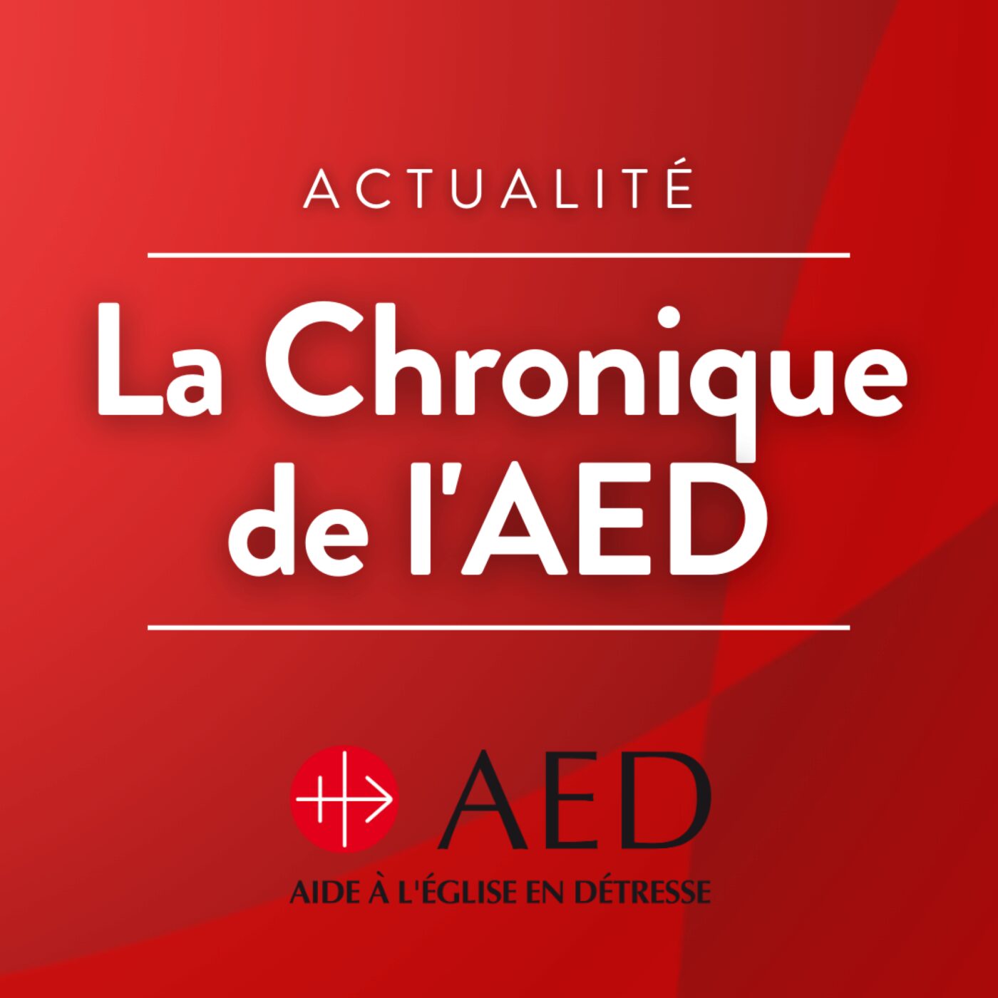La chronique de l\'Aide à l\'Église en détresse (AED)