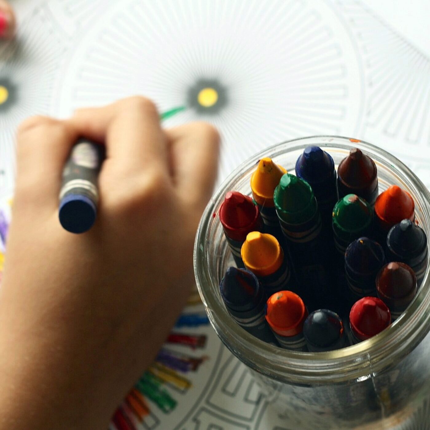 Jardiner avec les enfants, avec Terre Vivante