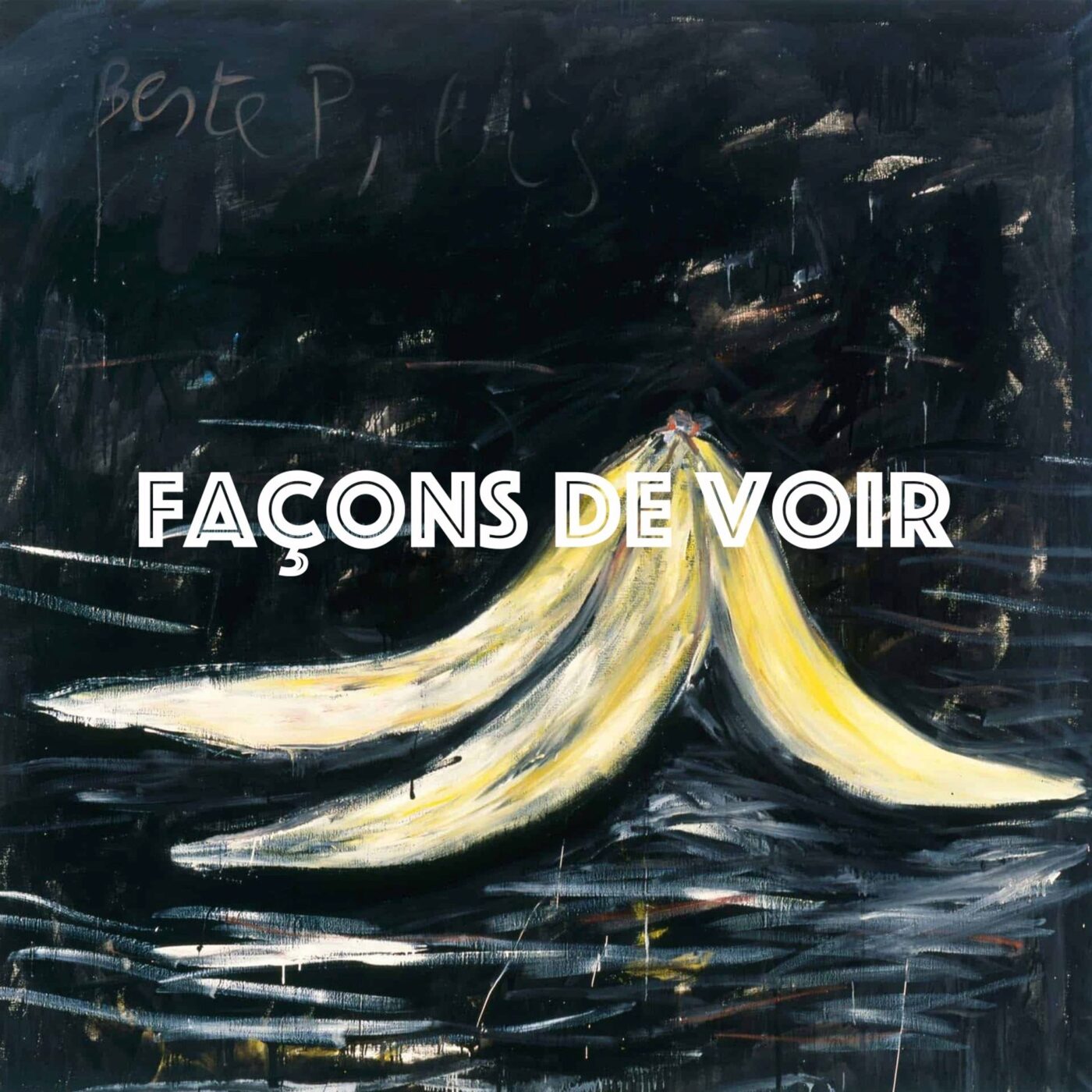 Façons de Voir : Walter Swennen – Rêvière – Pour Gaza | Grand Palais à Charleroi (AgwA)
