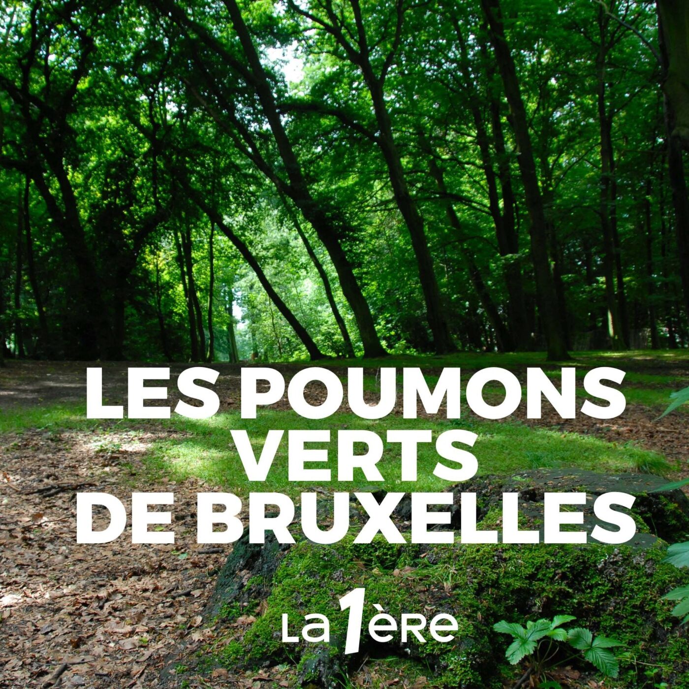 Episode 1 : le parc de Roodebeek, animalerie, piste de ski et carrière de sable