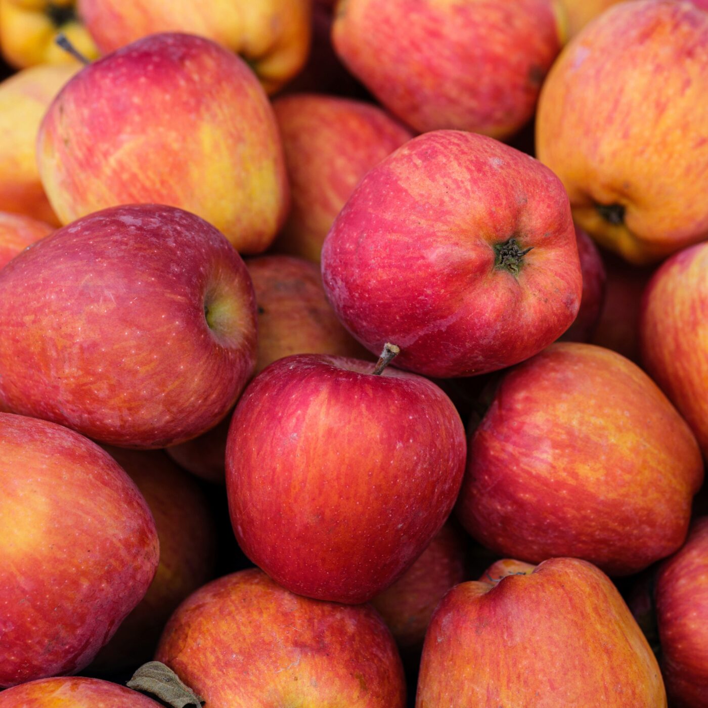 L\'évasion berrichonne