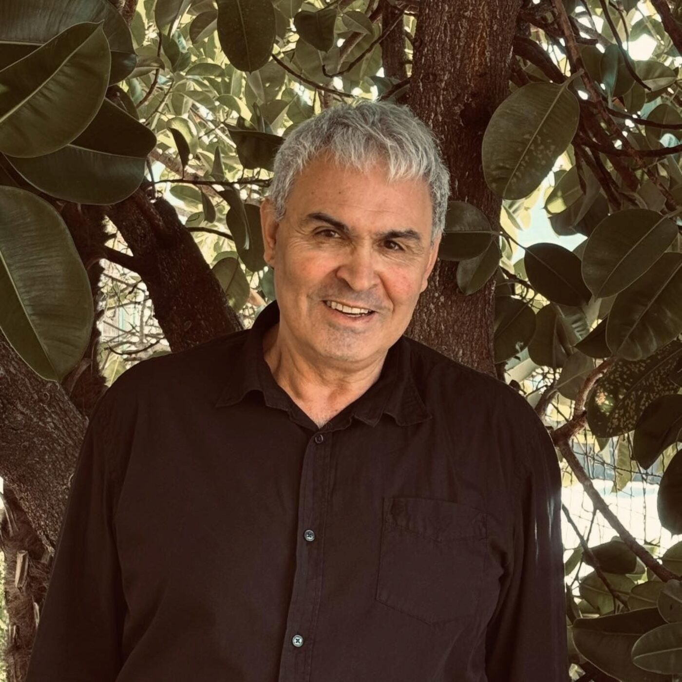 Félix Bruschi, maire de Bastelicaccia episode artwork