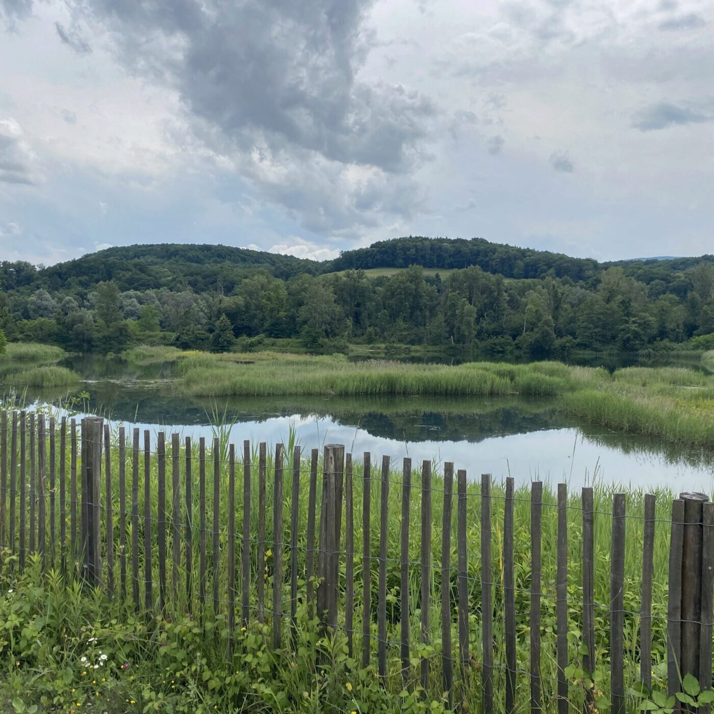Le Marais de l'Etournel